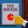 releasing the hounds.jpg