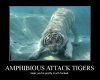 amphibious-attack-tigers.jpg